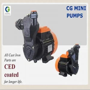 CG Water Pump 1 HP Max VEE Series