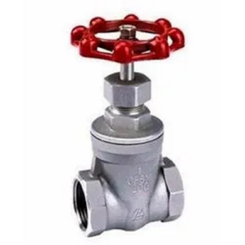 Hydraulic SS Gate Valve