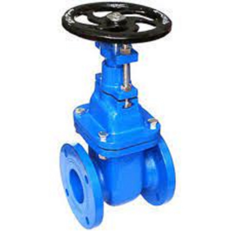 Cast Iron Slide Gate Valve