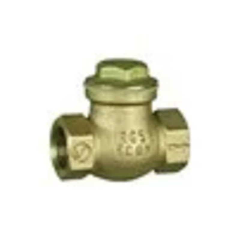 Check Valve