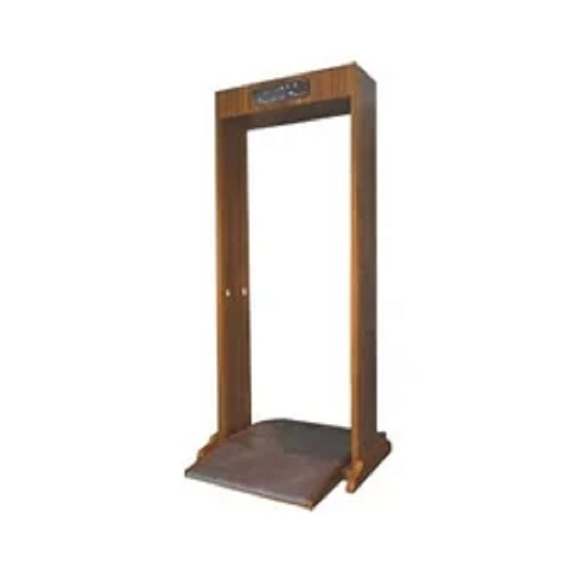 Metal Detector Door