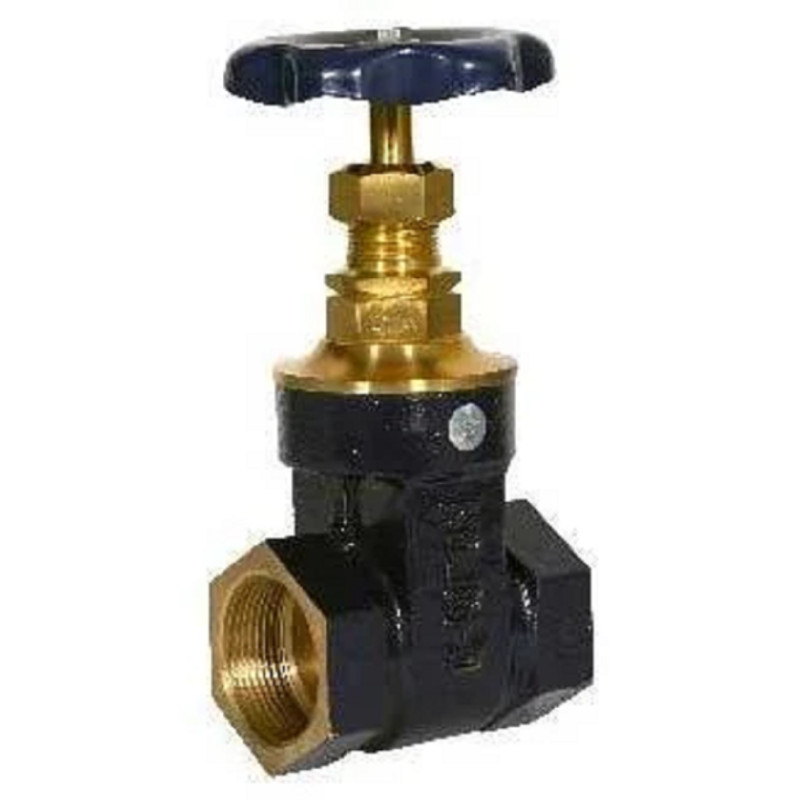 Bronze Hex Type Gate Valve