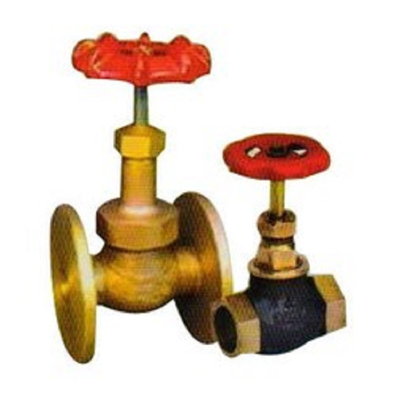Globe Valves
