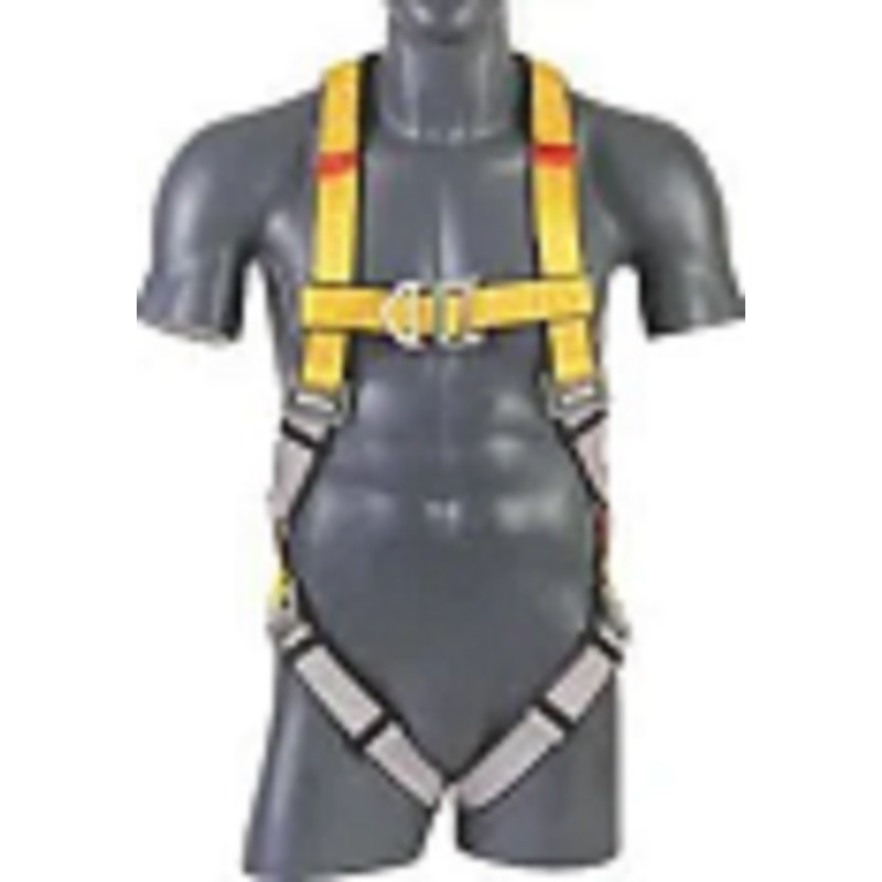 Safety harness