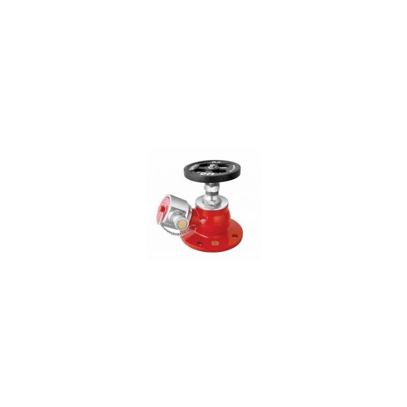 Fire Hydrant Valve