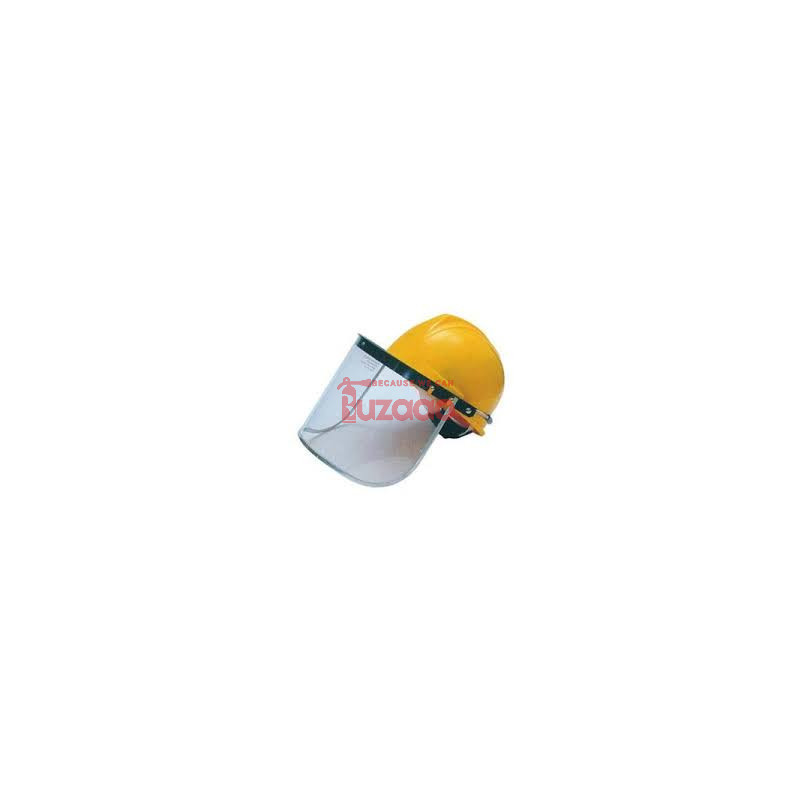helmet with face shield batch no 504