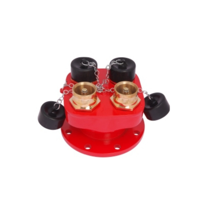 Dry Riser Inlet