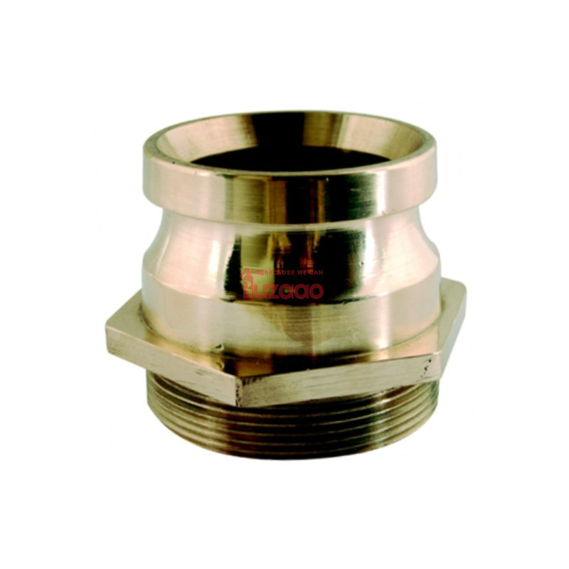 MALE INST. Male BSP Hex