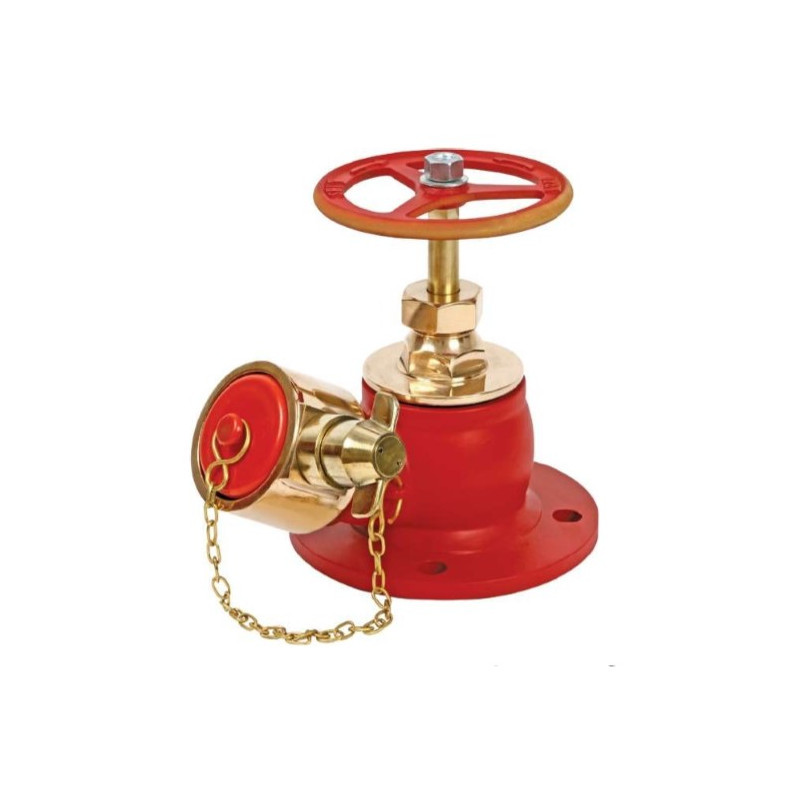 Obliged Flanged HYD 01