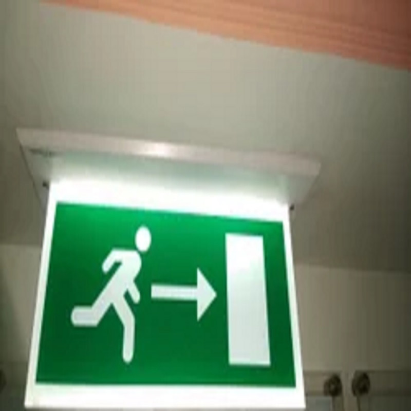 Ceiling Mounted Exit Light