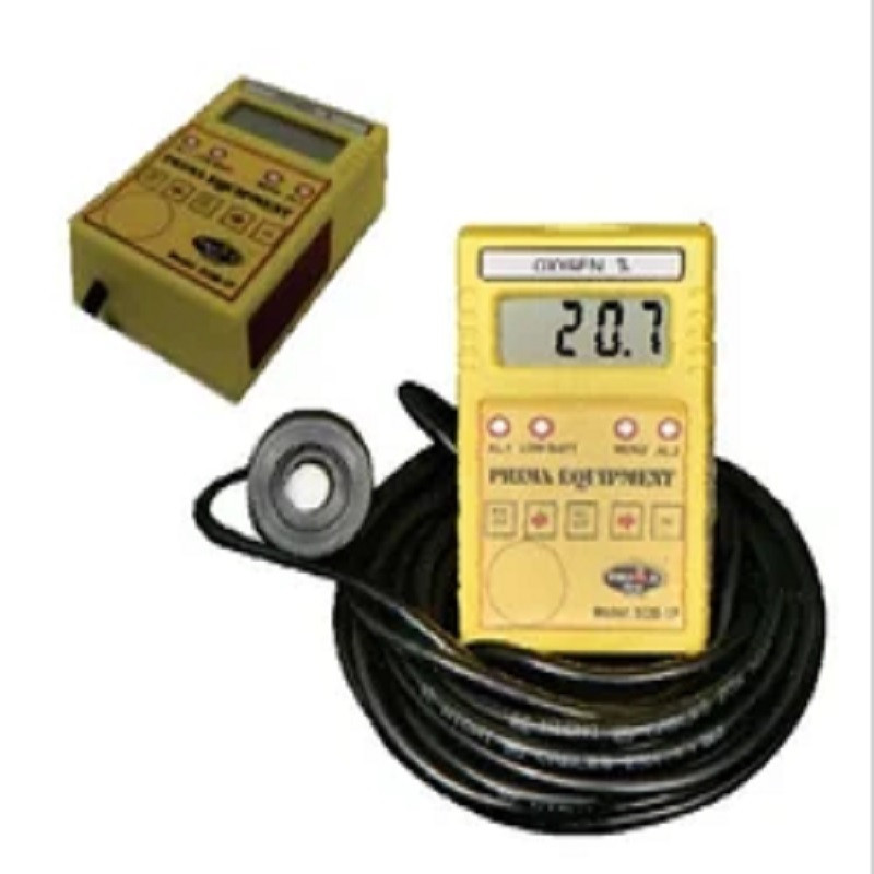 H2 Safety Gas Monitor ( Hydrogen)