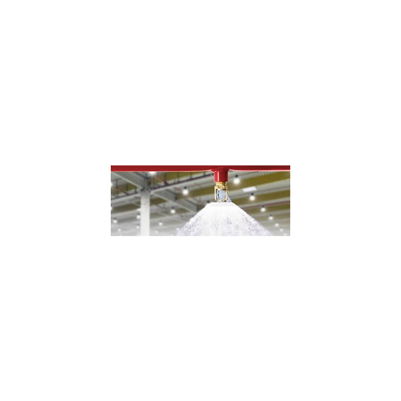 automatic sprinkler system fire protection