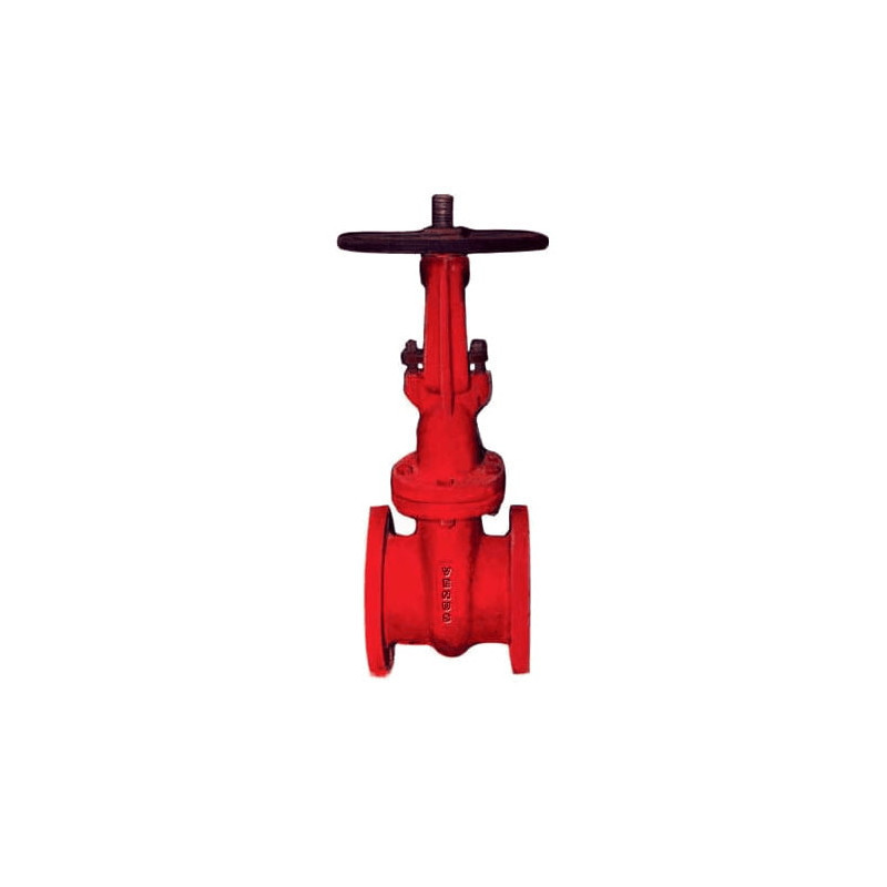 Sluice Valve PN-25