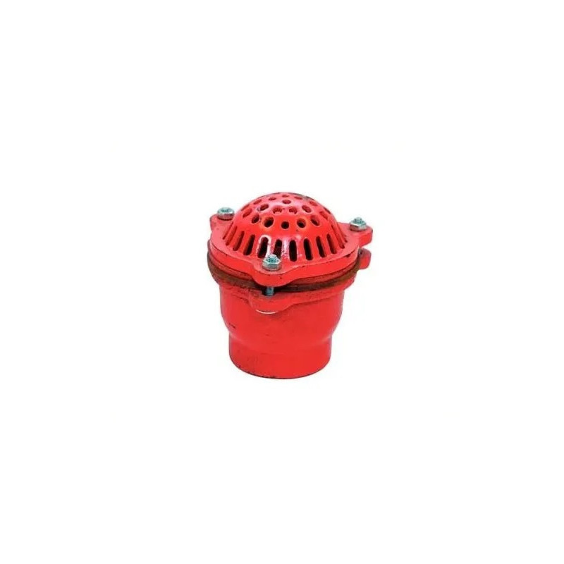 Foot Valve PN-25