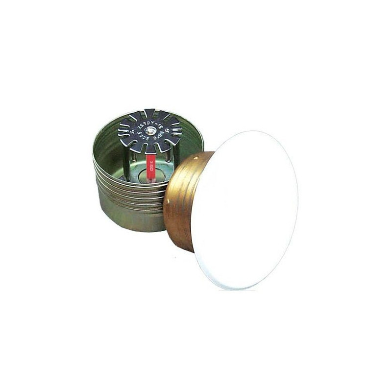 Sprinkler Concealed