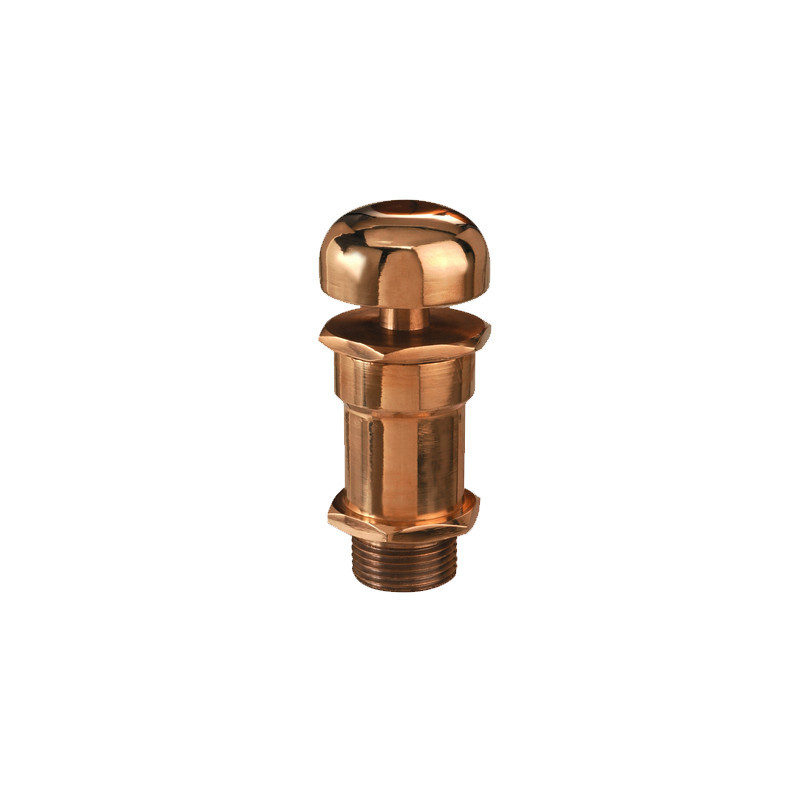 Air Release Valve