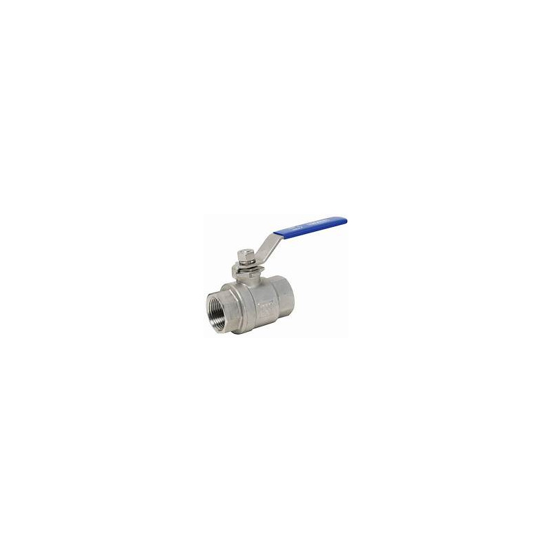 Ball Valve With Hose Coller SS
