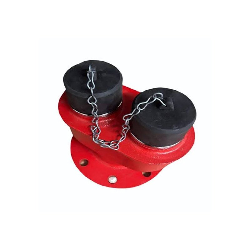 2 Way Fire Brigade Inlet Connection