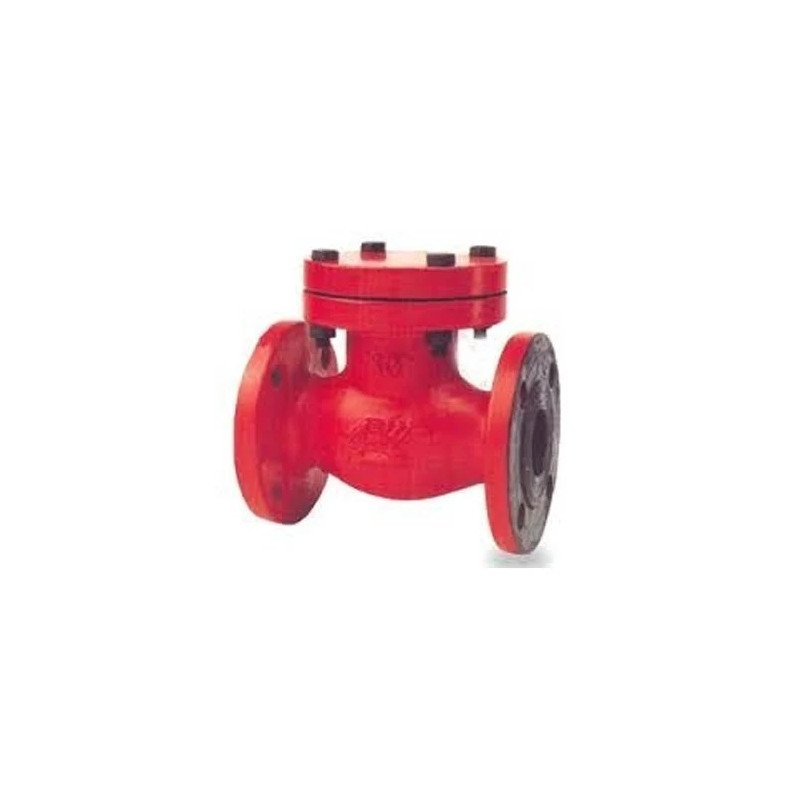 Non Return Valve  PN-16