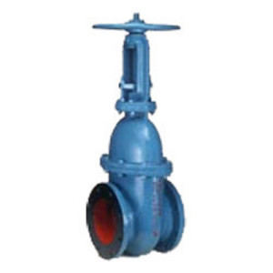 KIRLOSKAR Rising Spindle Gate Valve