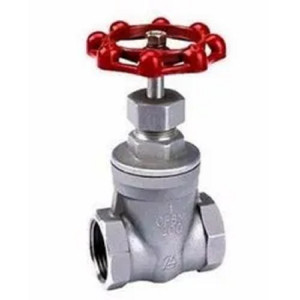 Hydraulic SS Gate Valve