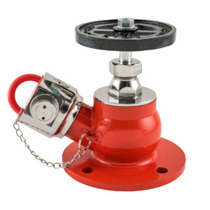 SS HYDRANT