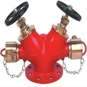 Landing Valve Double Outlet