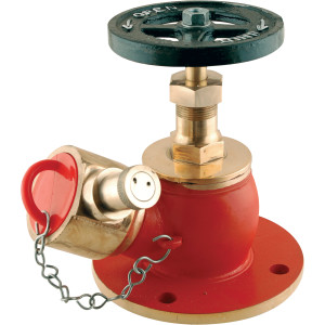 Fire Hydrant Valve