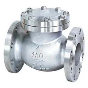 Cast Check Valve