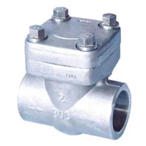 Forged Check Valve