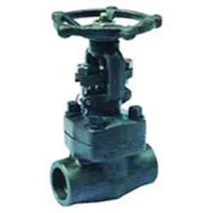 Forged Gate Valve