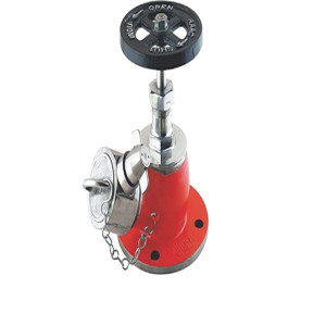 Fire Hydrant Valve