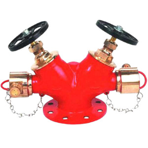 Fire Hydrants System