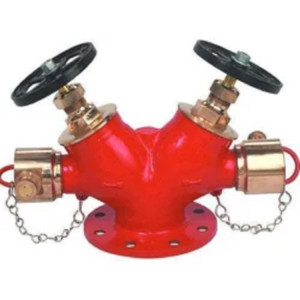 Fire Hydrant Valve