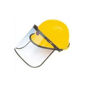 Face Shield