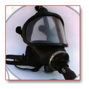 Panorama Nova Mask with Canister