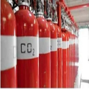 CO2 Flooding/Foam/Halon System