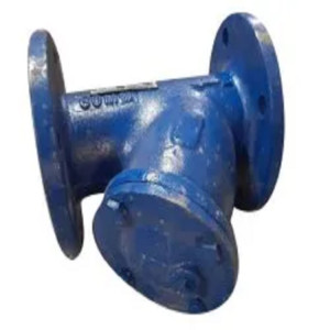Mild Steel Y Strainer