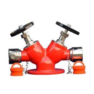 Hydrant Vale Double Control Type B
