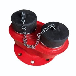 2 Way Fire Brigade Inlet Connection