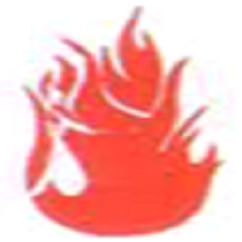 Fire Safety Services