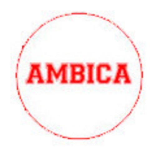 SHREE AMBICA SALES & SERVICES