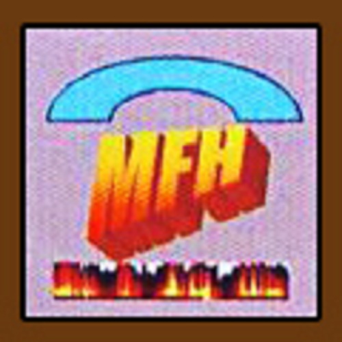 METRO FIRE HUB