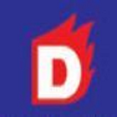 DISNYR FIRE ENTERPRISES PVT LTD