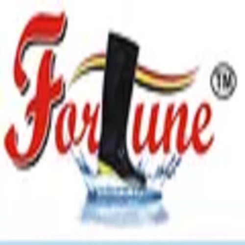 FORTUNE SAFETY INDUSTRIES