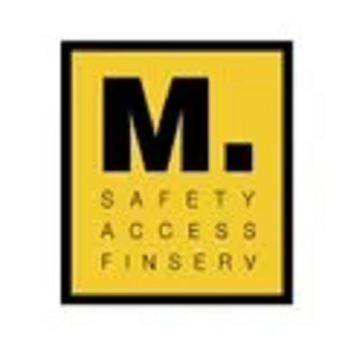 METSAFE INTERNATIONAL