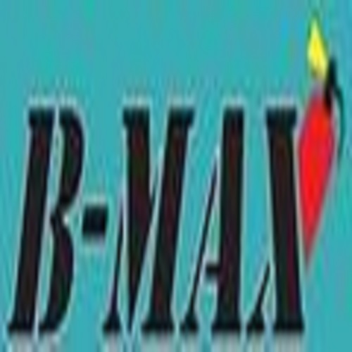 B MAX FIRE FIGHTING ENTERPRISES