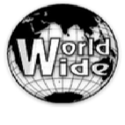 WORLDWIDE SAFETY DEVICES