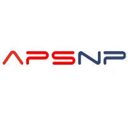 APSNP TECHNOLOGIES PRIVATE LIMITED