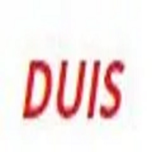 DUIS MATERIAL HANDLING PVT LTD
